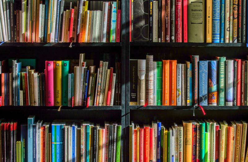מדף ספרים גדוש בספרים צבעוניים בגדלים וגוונים שונים מציג קולקציה מגוונת, לרבות ספרים מתורגמים. ארוזים היטב, ספרים משפיעים אלה מטילים צל על השדרה, מוסיפים עומק לסצנה ומזמינים את הקוראים לעולם עשיר של סיפורים.