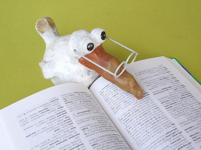 פסל גחמני של ציפור ספרותית עם משקפיים טובלת בעתיד התרגום על רקע ירוק. עיניו הגדולות והעגולות ומקורו הארוך מוסיפים מגע הומוריסטי לסצנה.